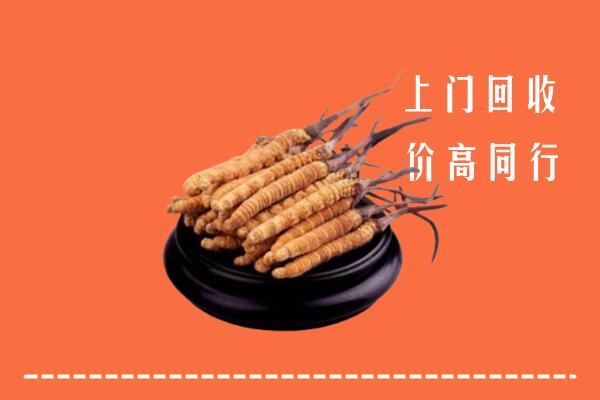高价求购：上党回收散虫草