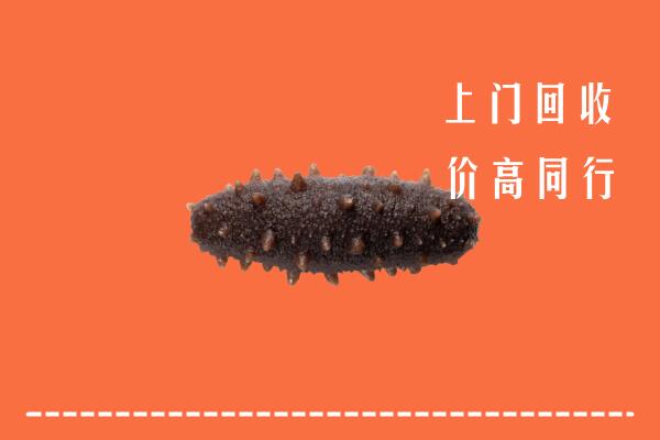 高价求购：上党回收海参