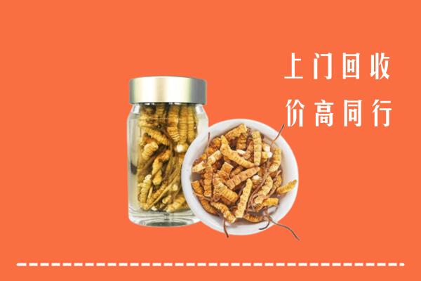 上党回收冬虫夏草