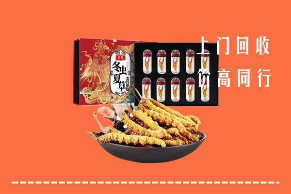上党回收虫草